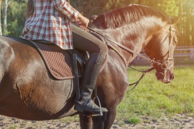 慣用句 馬が合う の例文 簡単な短文でわかりやすく紹介 贈る言葉情報館